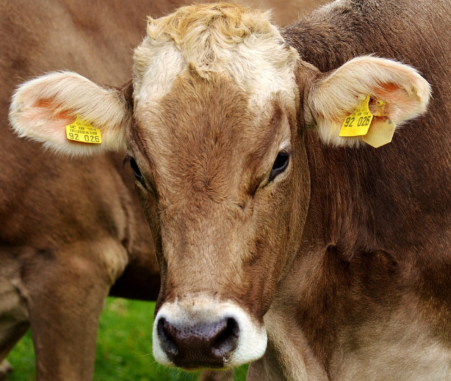 오늘의 운세 2023년 10월 25일