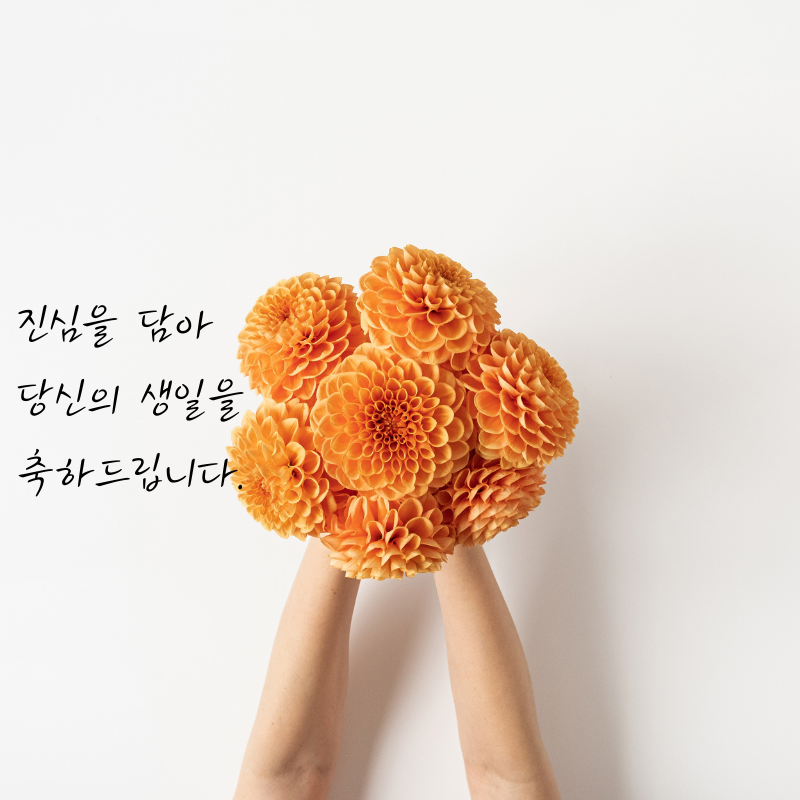 생일 축한 꽃다발 이미지