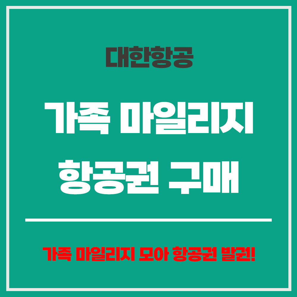 가족 마일리지 항공권 구매 가족 마일리지 항공권 발권 가족 마일리지로 항공권 구매하는 법