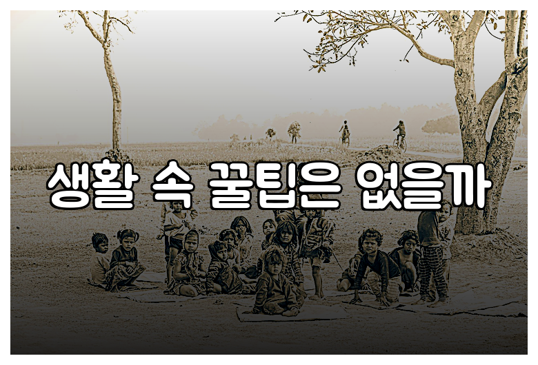 생활 속 꿀팁은 없을까