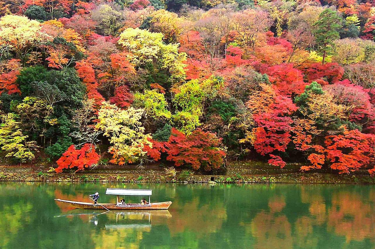 2025 단풍 절정시기