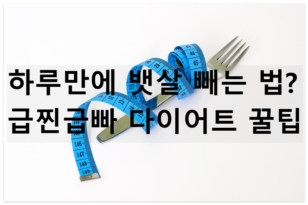 급찐급빠 다이어트 현실 가능성