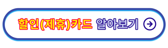 롯데월드-매직패스