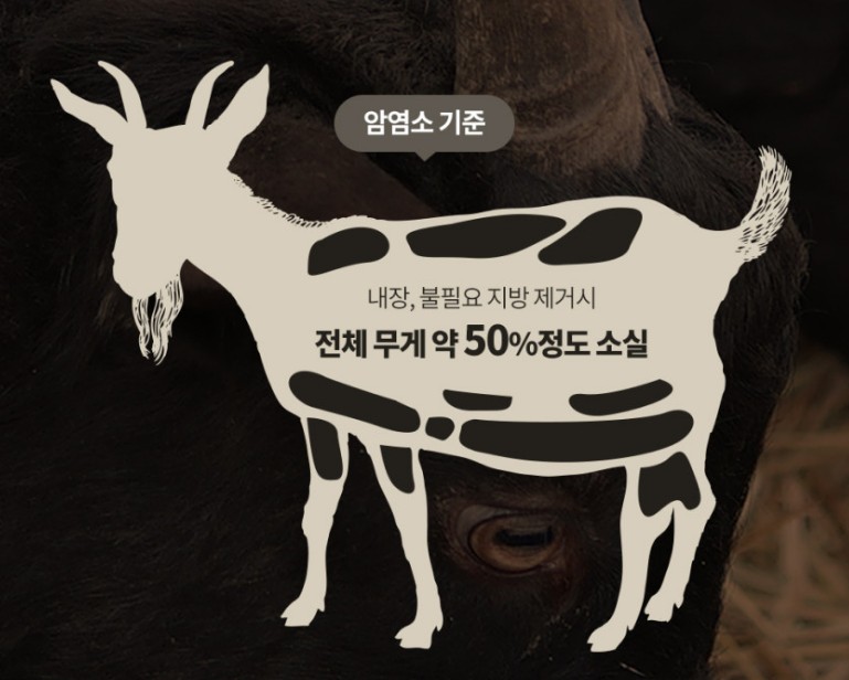 암염소-기준으로-만들었다는-것을-알려주고-있습니다.