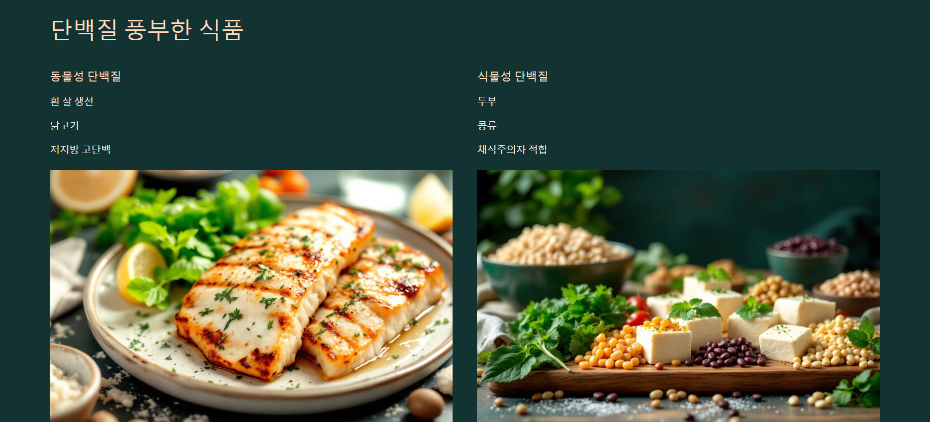 단백질 많은 음식의 종류