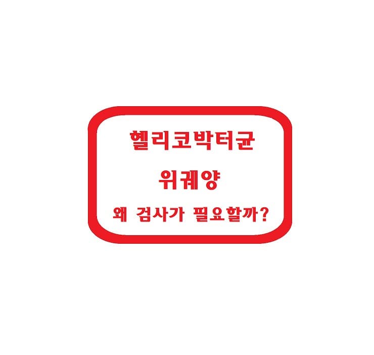헬리코박터균과 위궤양, 왜 꼭 검사가 필요할까?