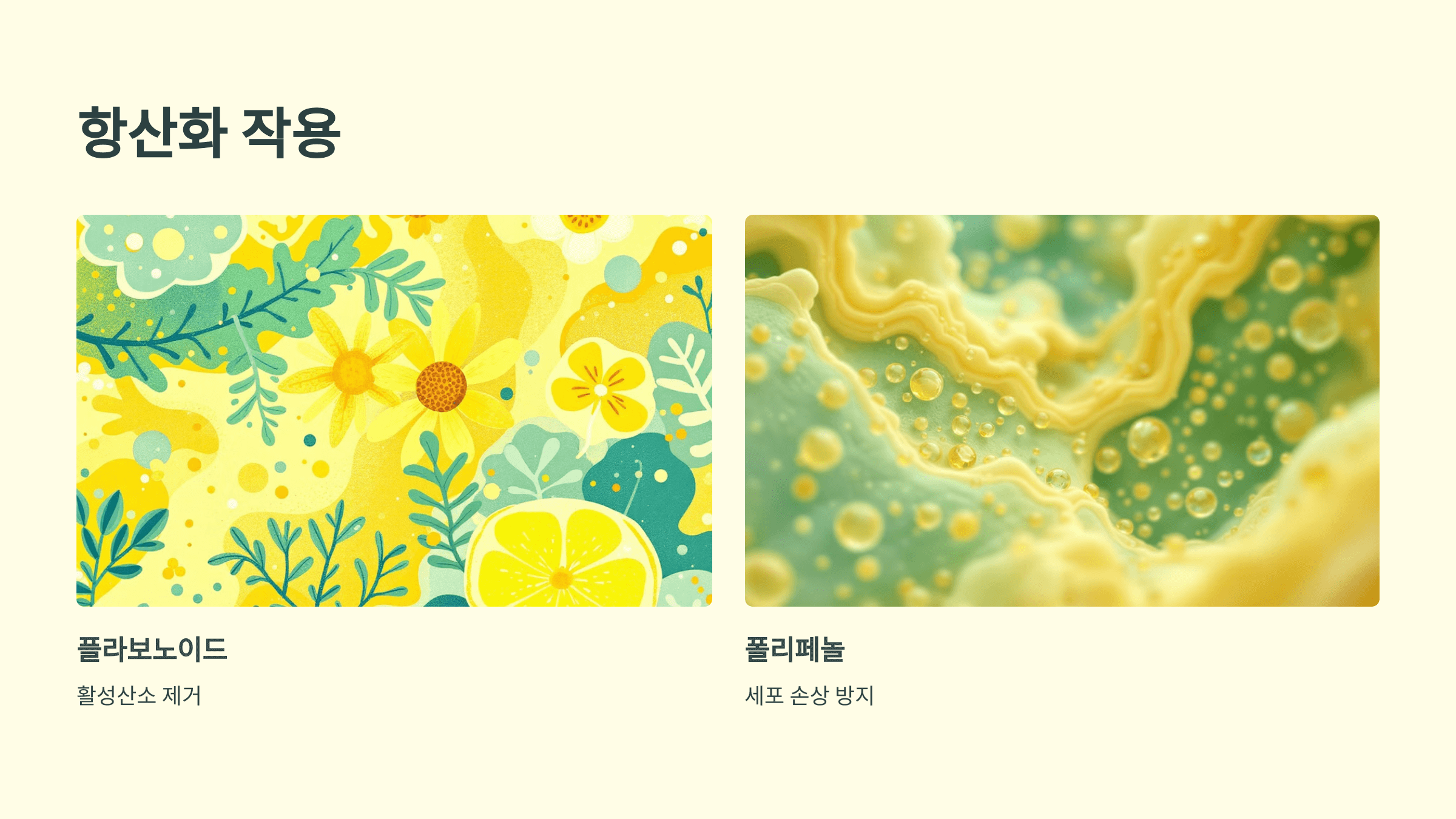 모과차 사진입니다.