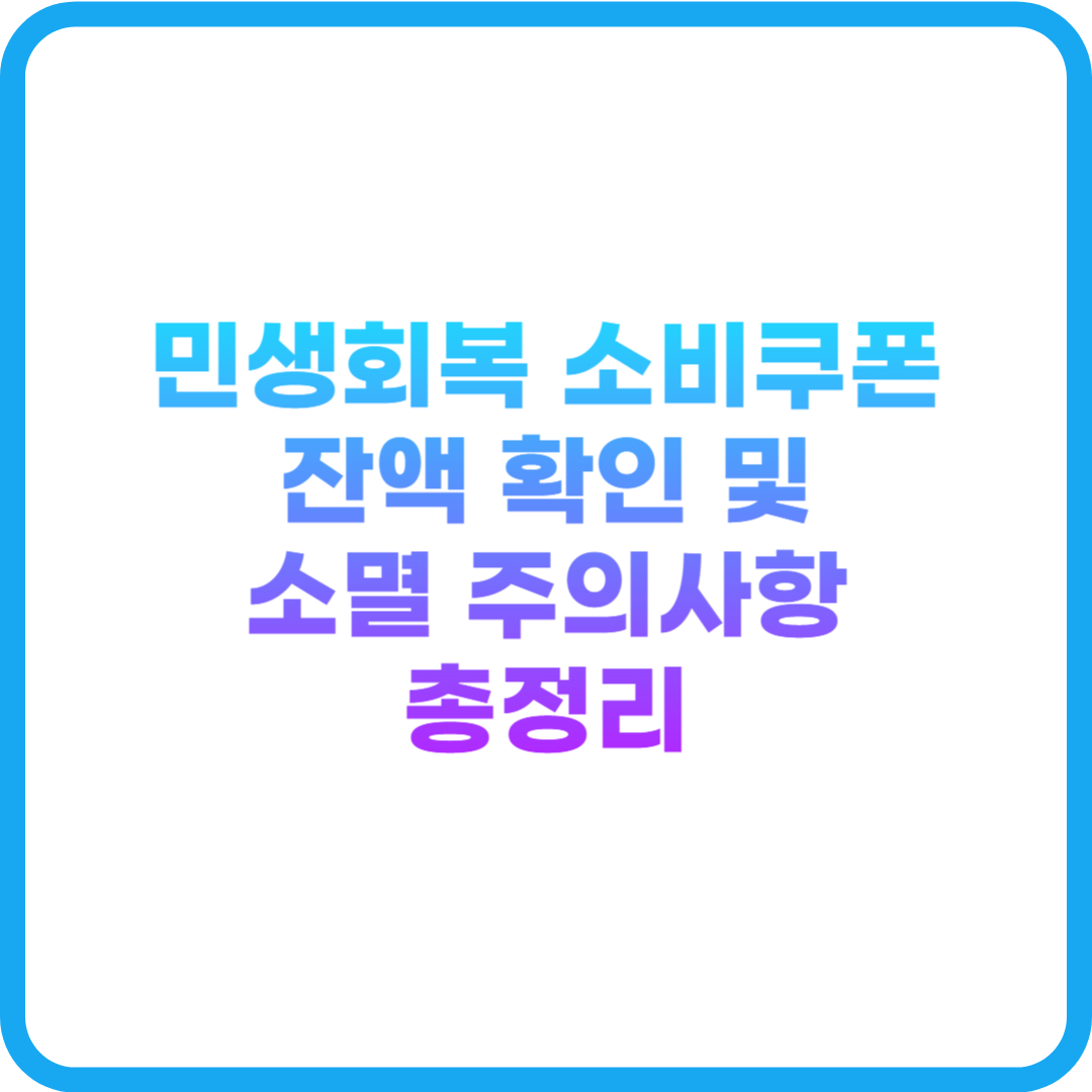 민생회복 소비쿠폰 잔액 확인 및 소멸 주의사항, 정부지원금, 지역화폐, 정책지원금