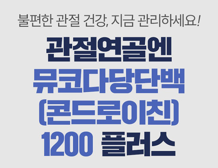 콘드로이친 효능 효과2