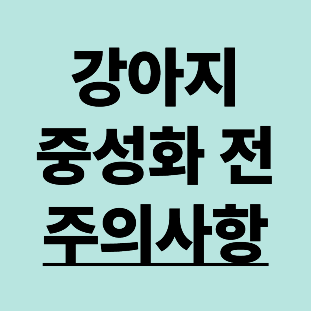 강아지 중성화수술 시기, 수술 전 주의사항