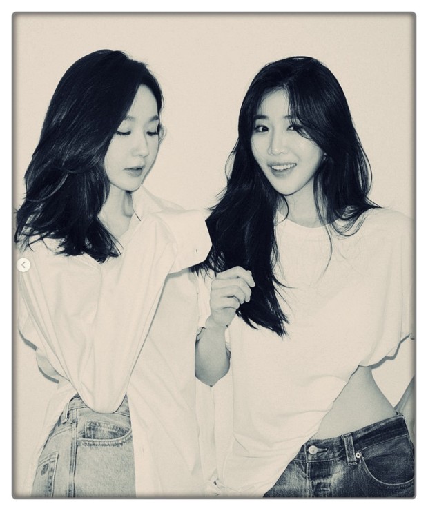 다비치