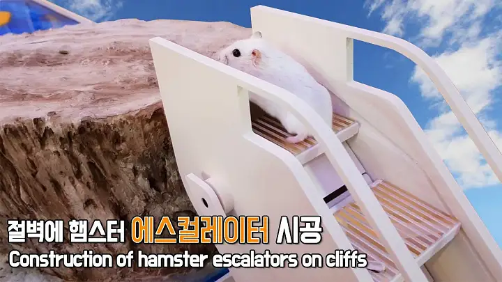 촬영 SNS 화제 영상 햄스터 럭셔리 하우스 제작 조회 수 571만 뷰 유별난 반려동물 집 추천