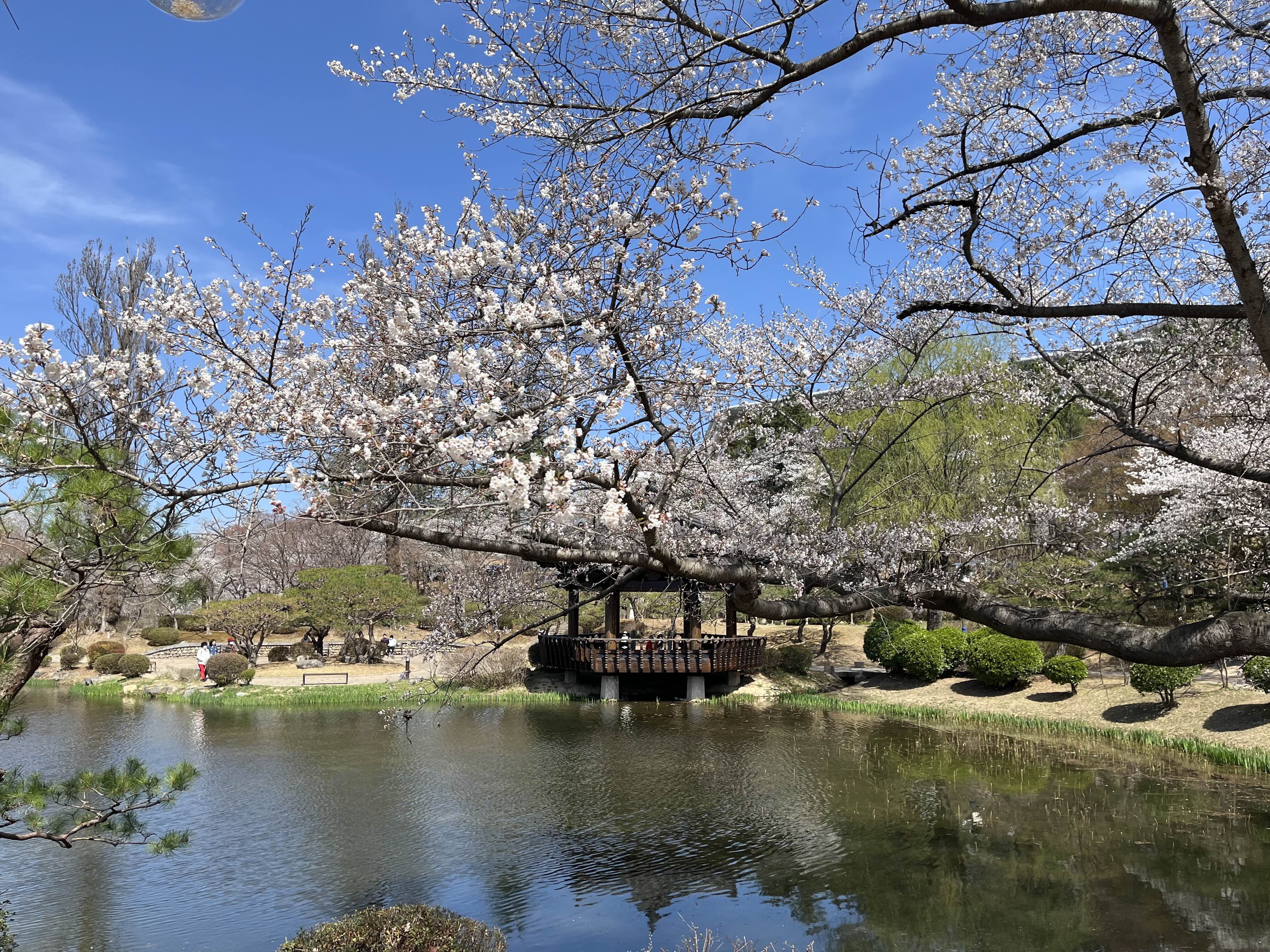 경주 보문정