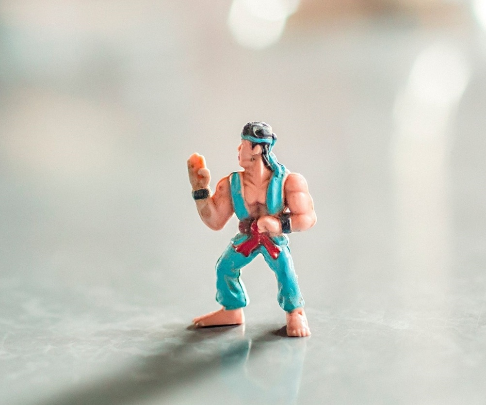캐릭터, 무술 피규어