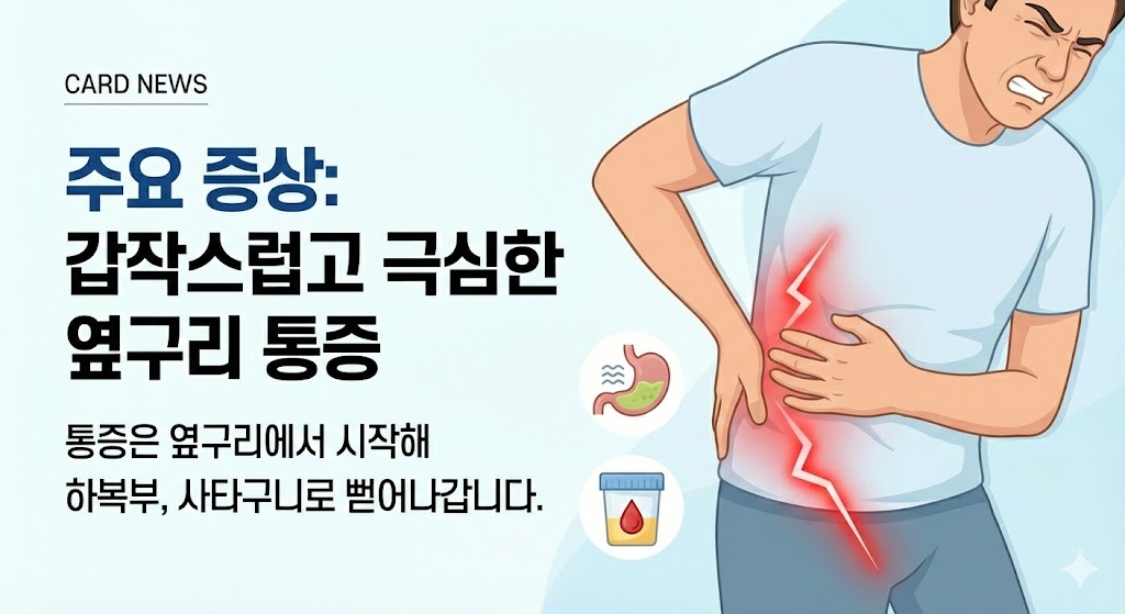 요로결석 및 신장 질환