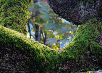 제습기 용량과 평수 한눈에 정리 5