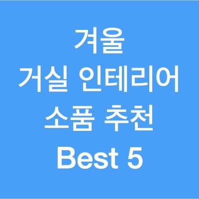 겨울 거실 인테리어 소품 추천 best 5