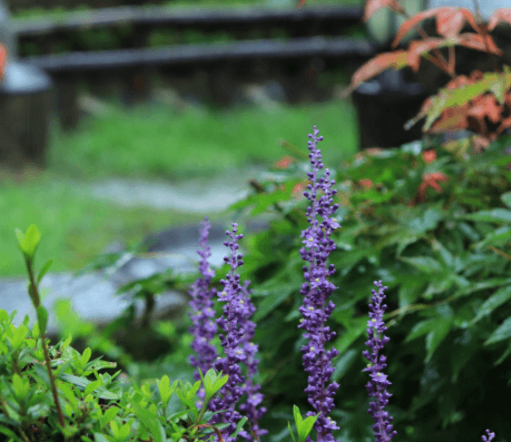 화담숲 예매하기