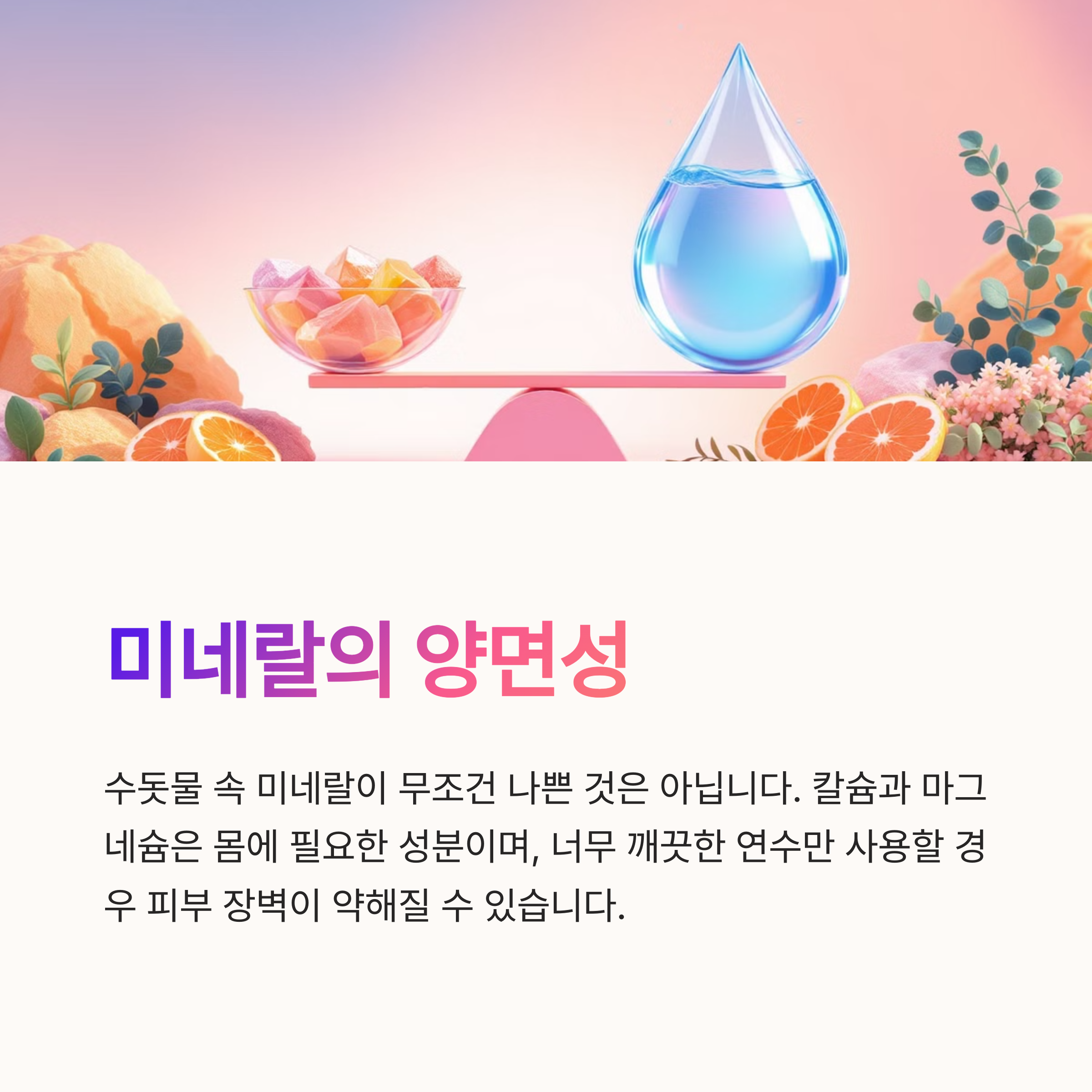 영양분 이미지