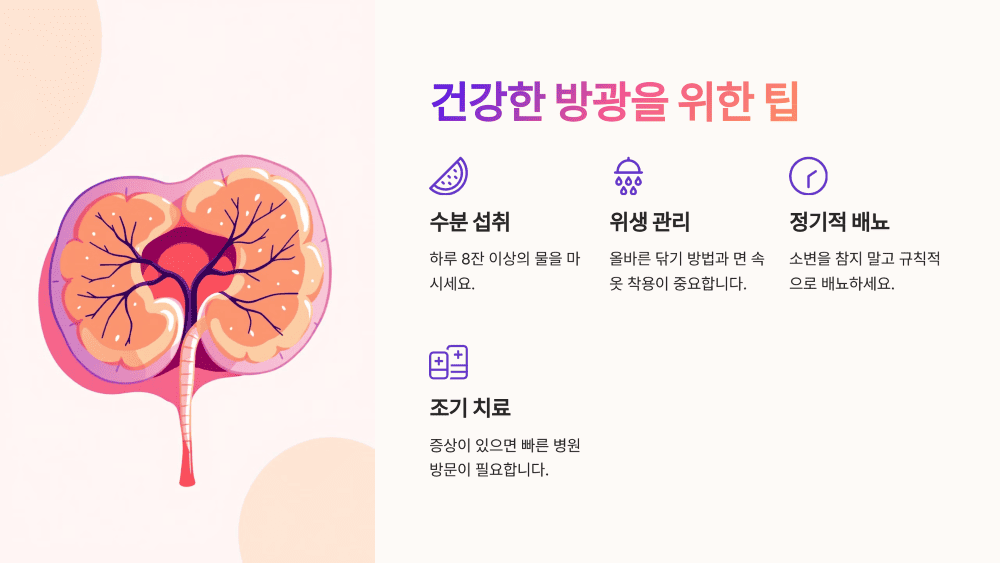 건강한 생활을 위한 팁