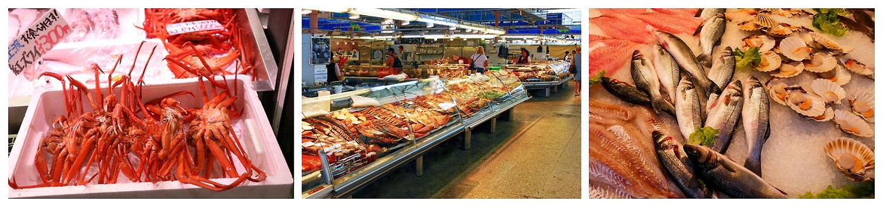 2025 수산대전 특별전 200%활용 방법