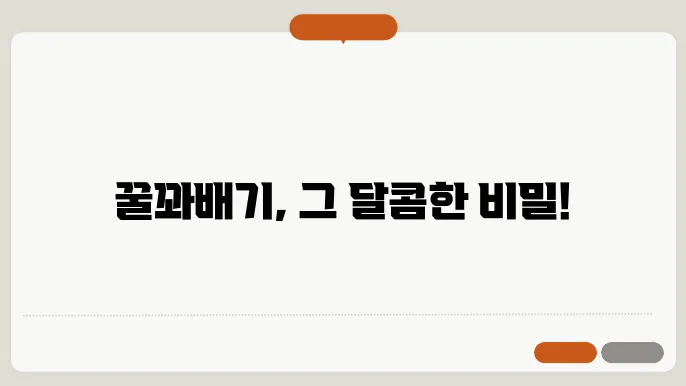 칼로리 관리