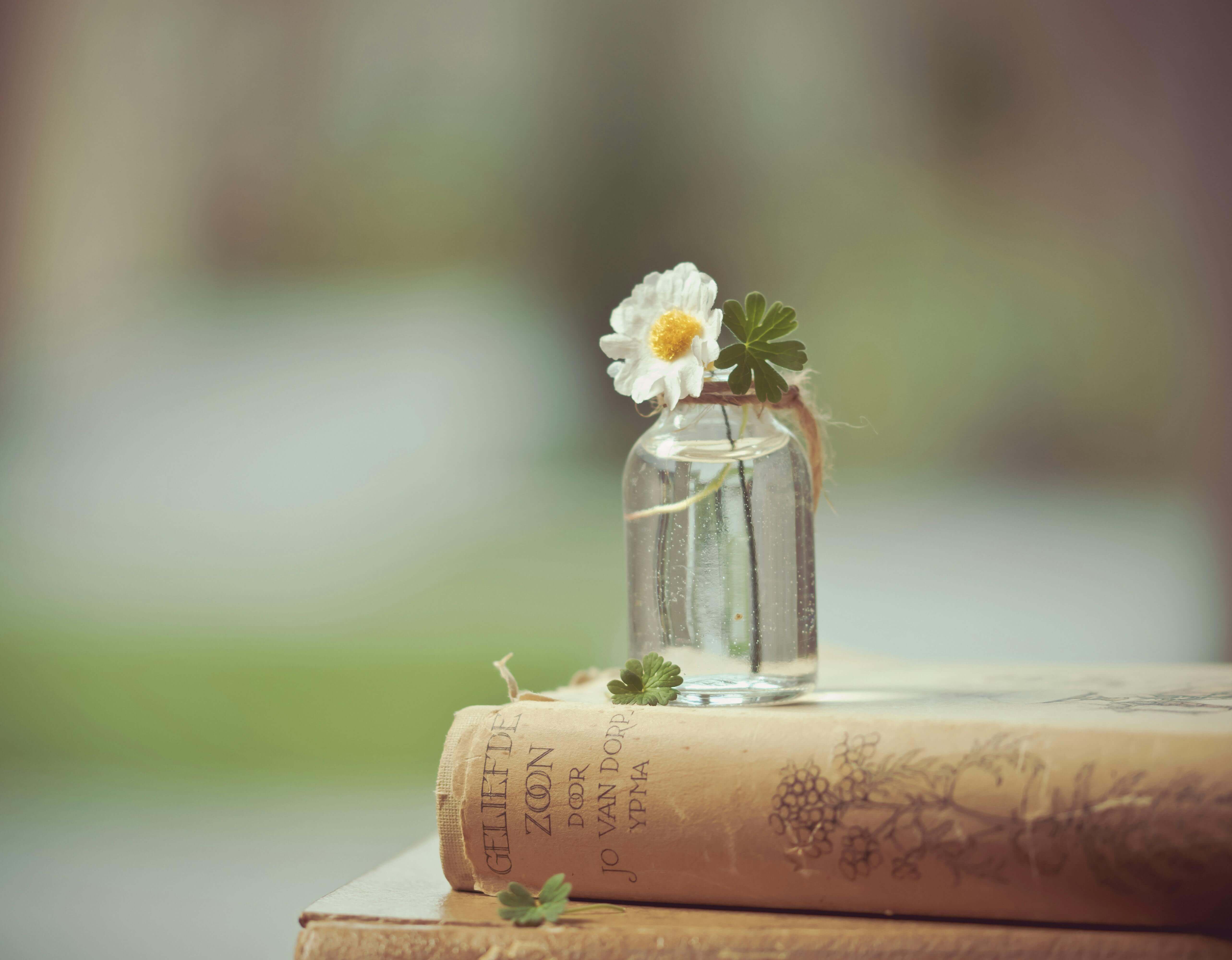 플라워 세러피 봉사활동 실무 사례