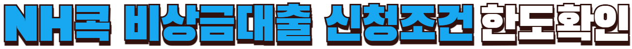 NH콕 비상금대출 신청 조건 확인하기