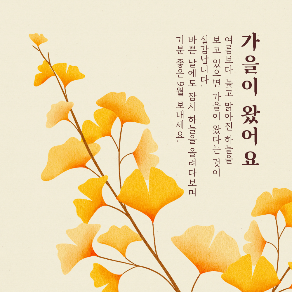 높고 맑은 가을 하늘을 바라보며 전하는 9월 인사말 이미지