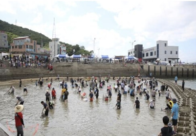 삼길포우럭축제