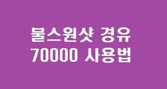 불스원샷 사용법