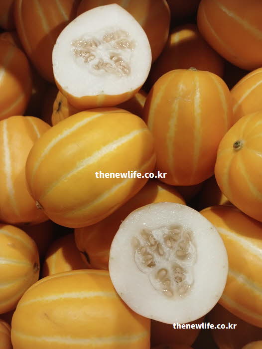 참외 효능을 높이기 위해 씨앗과 태좌를 함께 섭취하는 참외 실사진