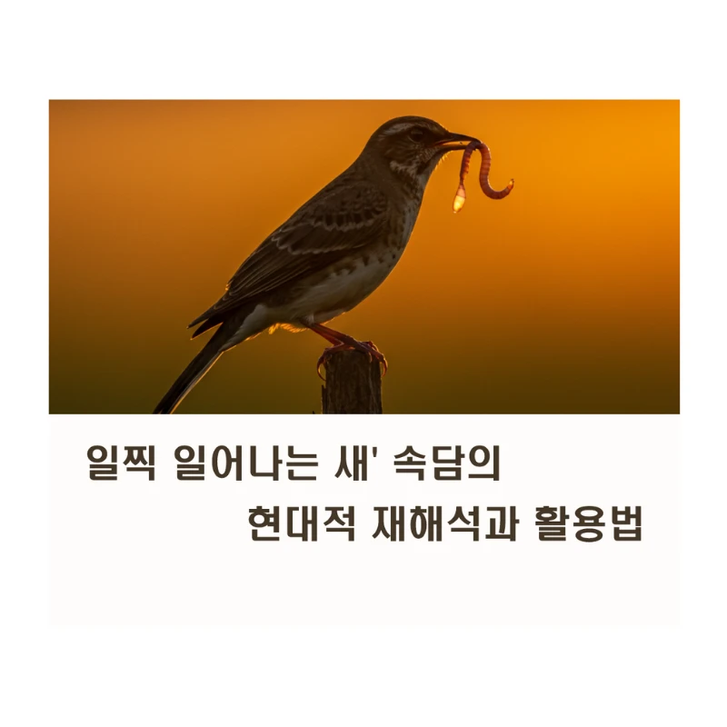 "잠을 포기하지 마세요! '일찍 일어나는 새' 속담의 현대적 재해석과 활용법"
