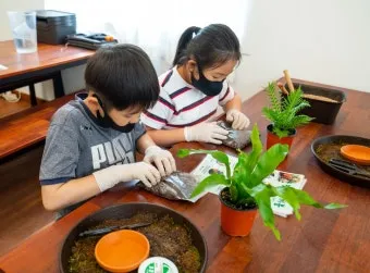 아이 있는 집 식물선택 가시없는종류 배치높이 관리 요령_6