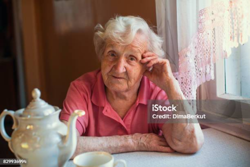 혈관성치매원인