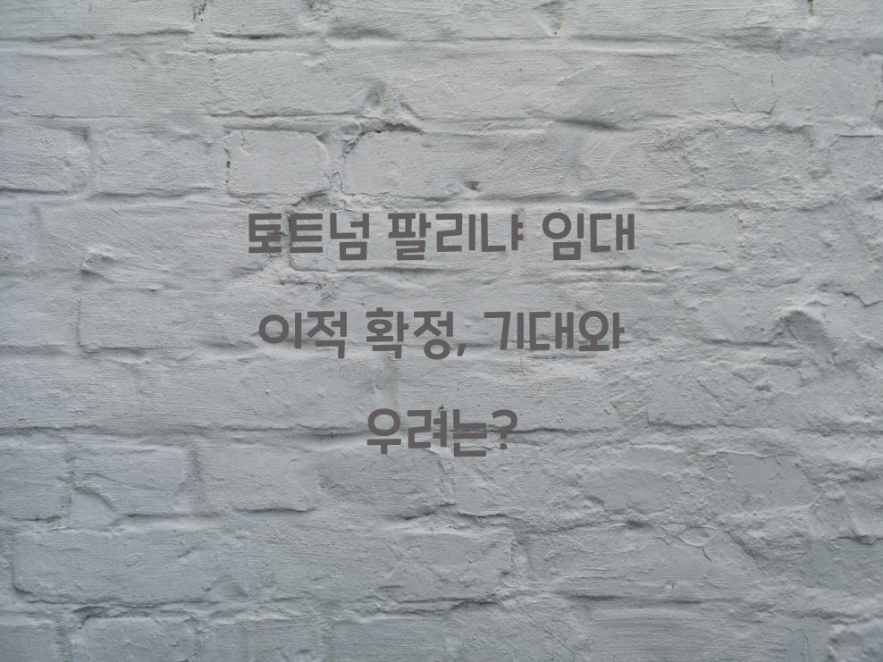 토트넘 팔리냐