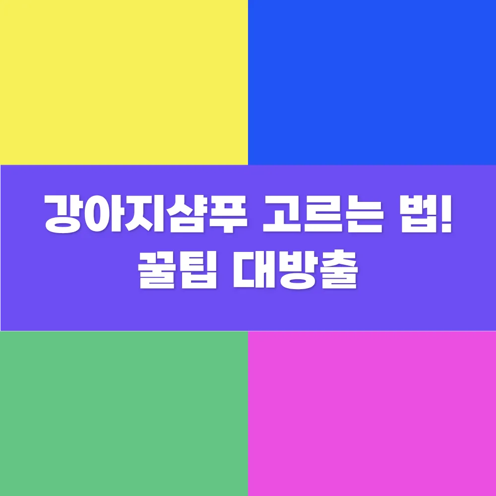썸네일 이미지