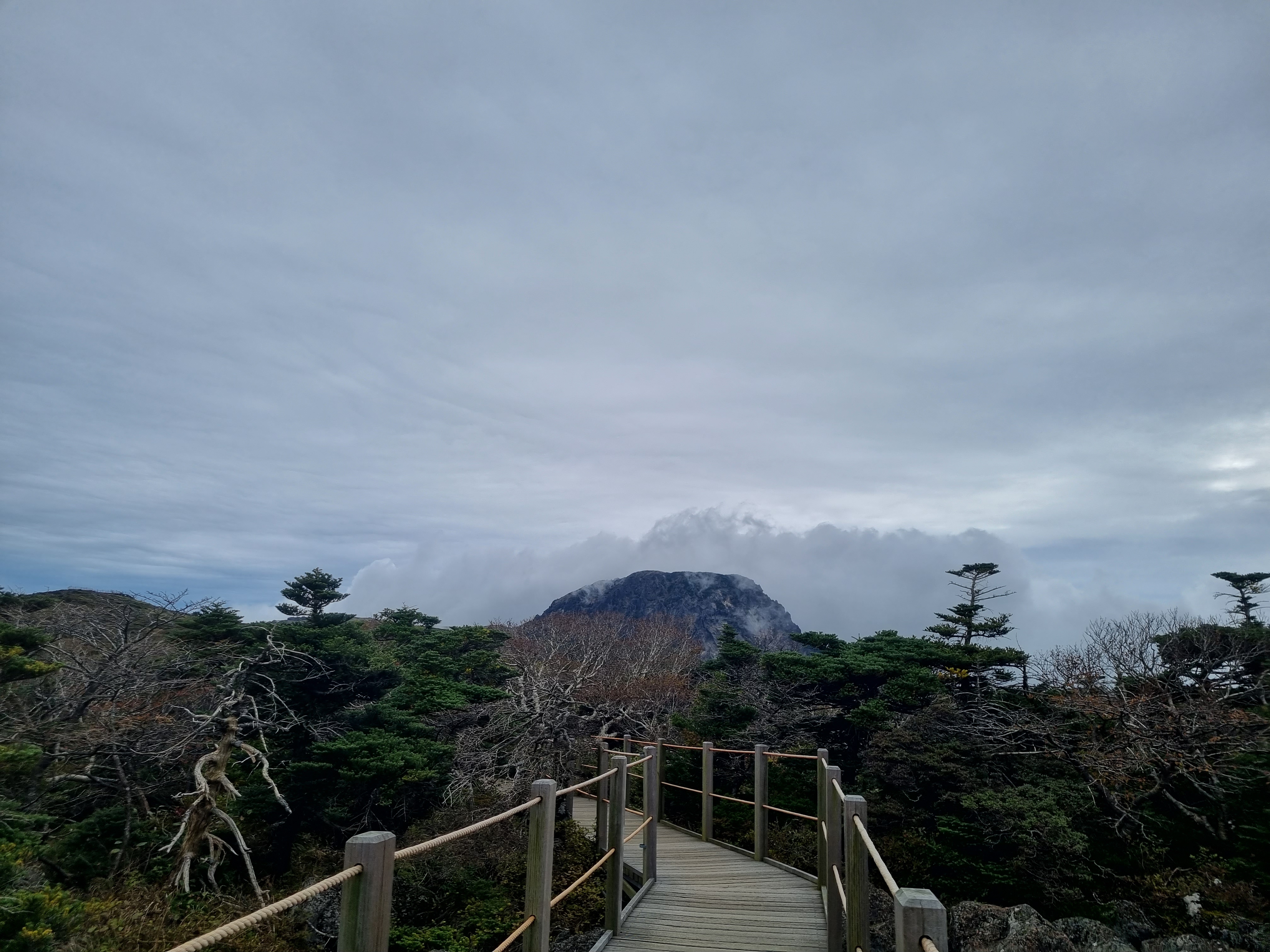 윗세오름 영실코스