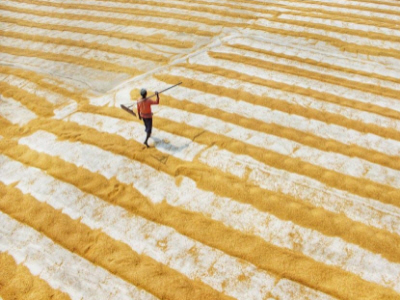 농업인 경영체등록