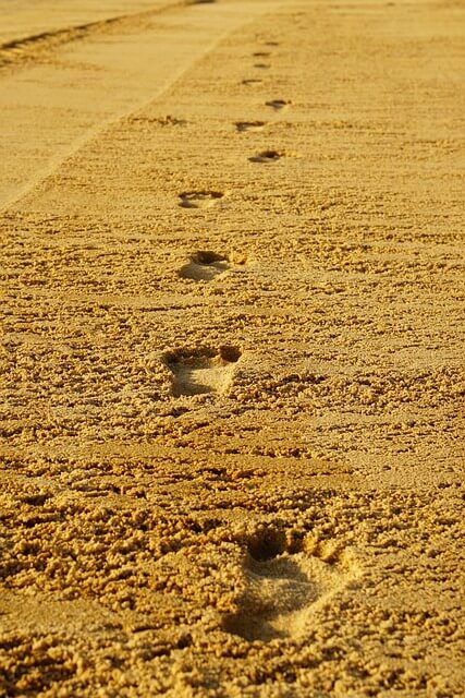 맨발 걷기 효능