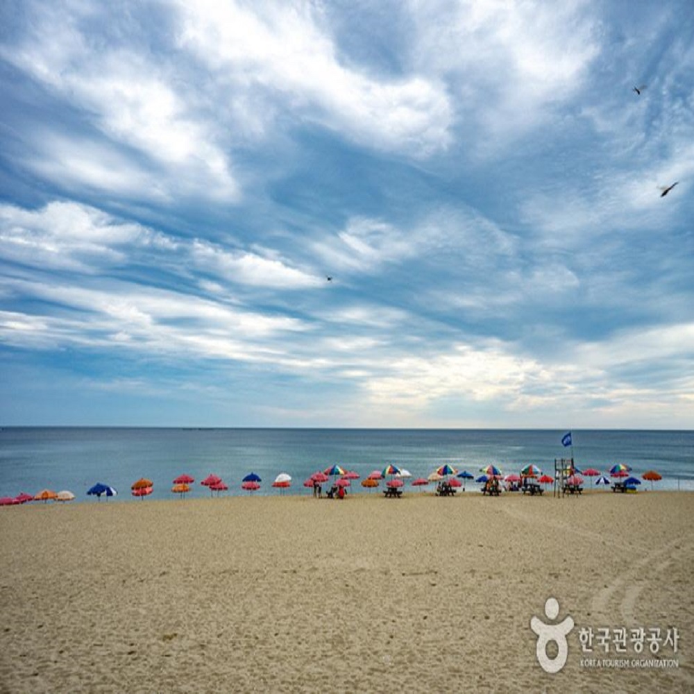 동해 해수욕장 바로가기