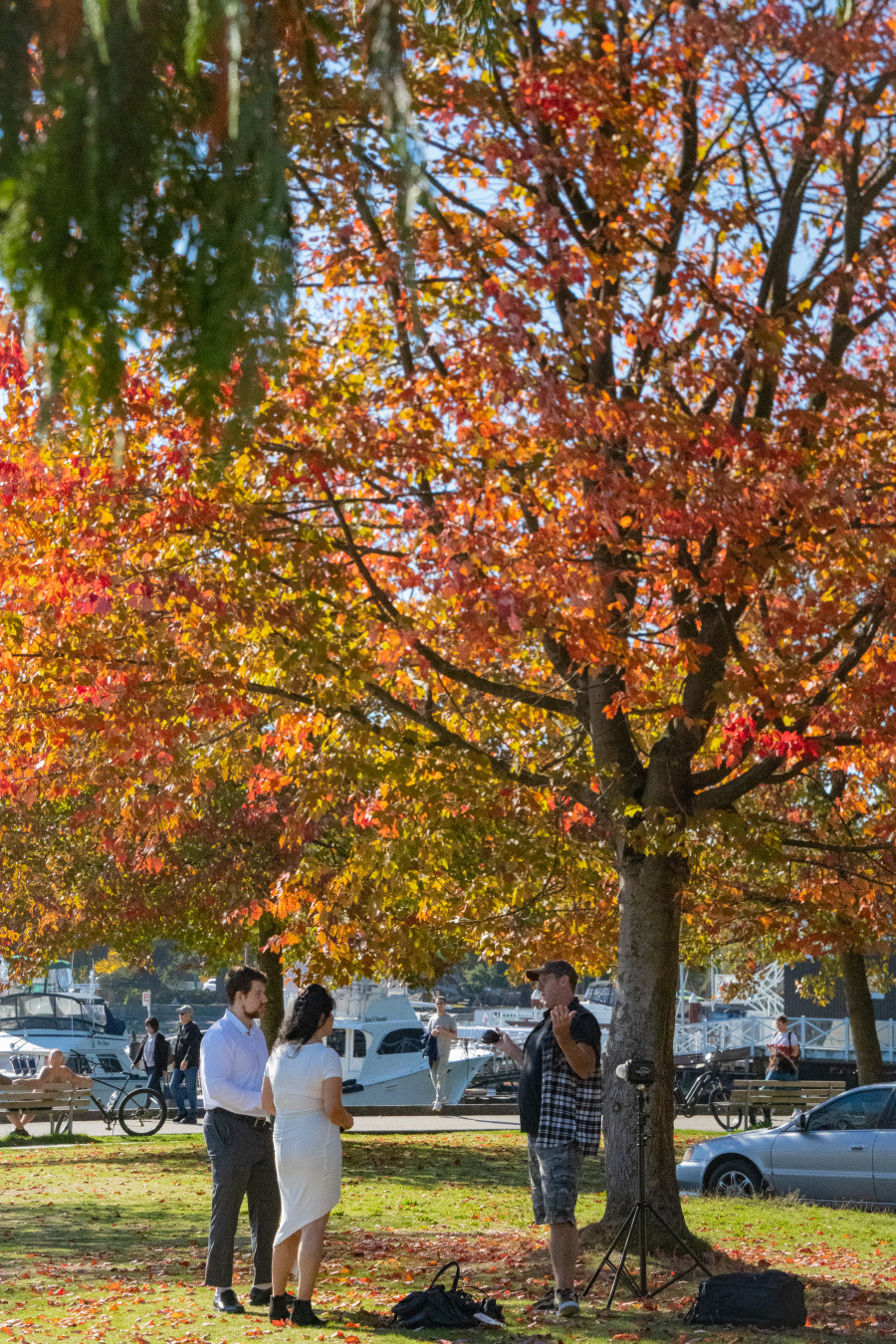 밴쿠버 스탠리 공원 놀이