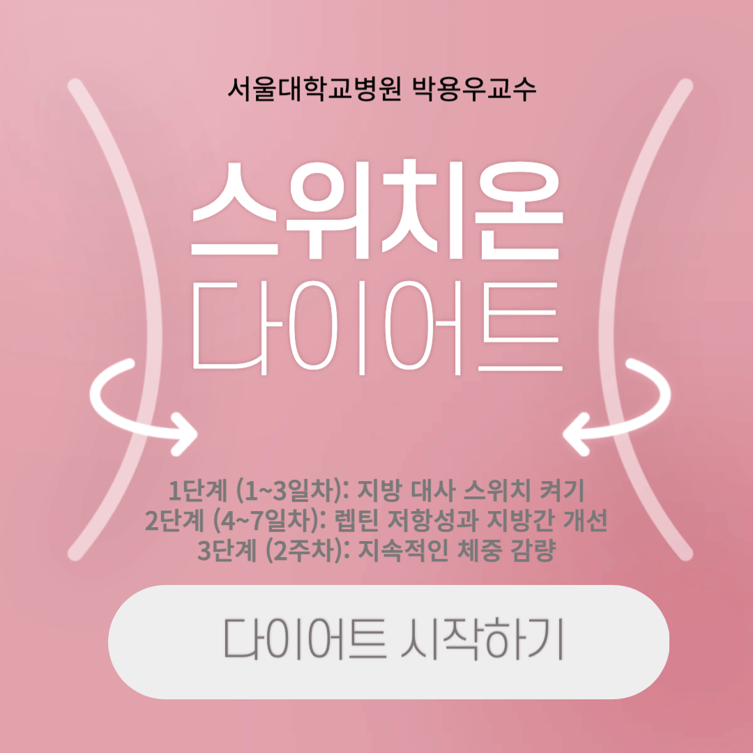 스위치온 다이어트 설명