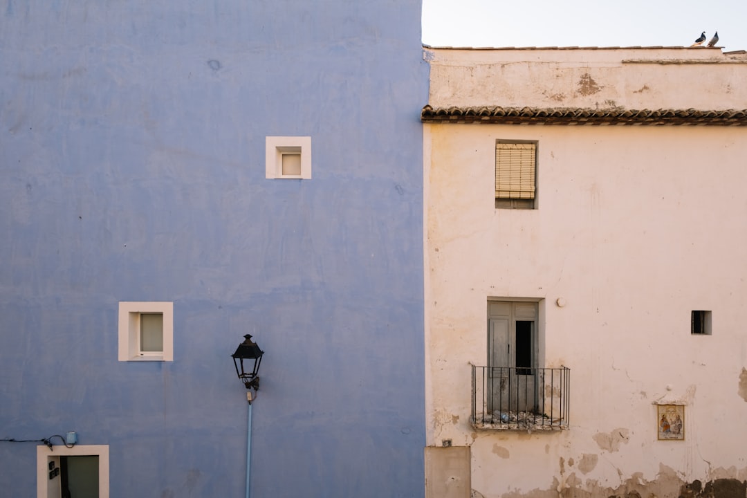 Blue House