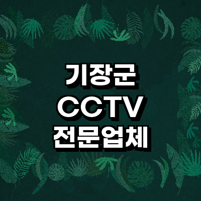 부산 기장군 cctv