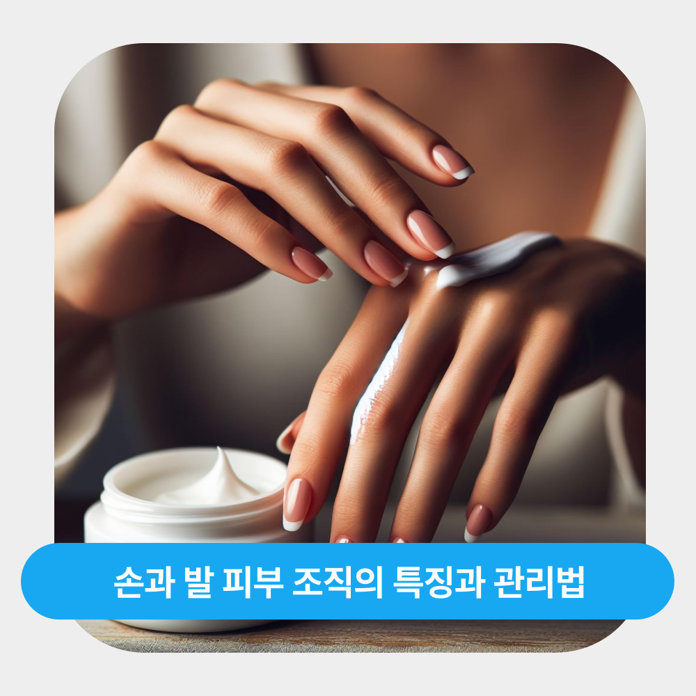손과 발 피부 조직의 특징과 관리법: 소중한 신체 부위를 지키는 방법
