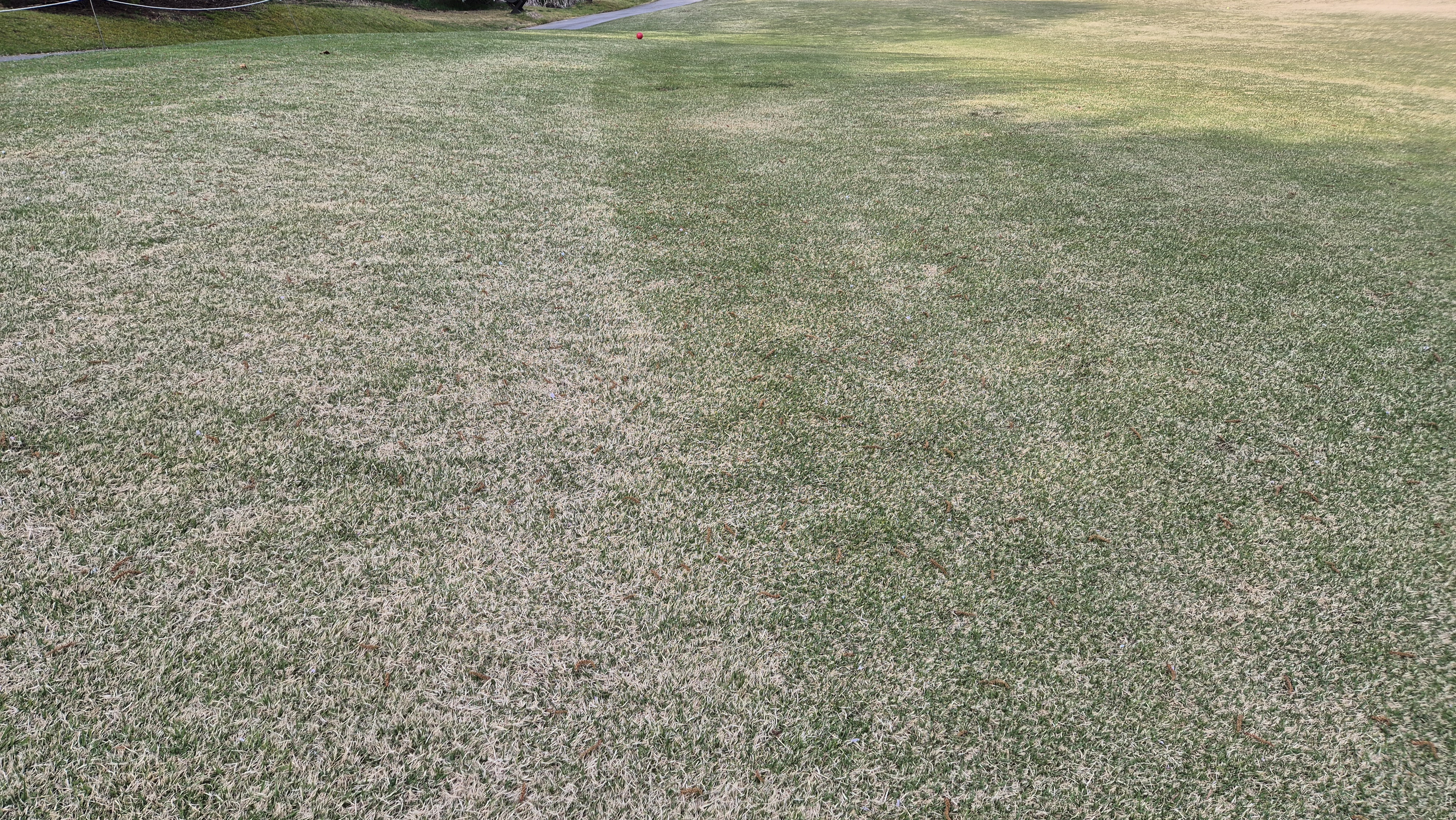 진양밸리 크리크-밸리 코스 컨디션