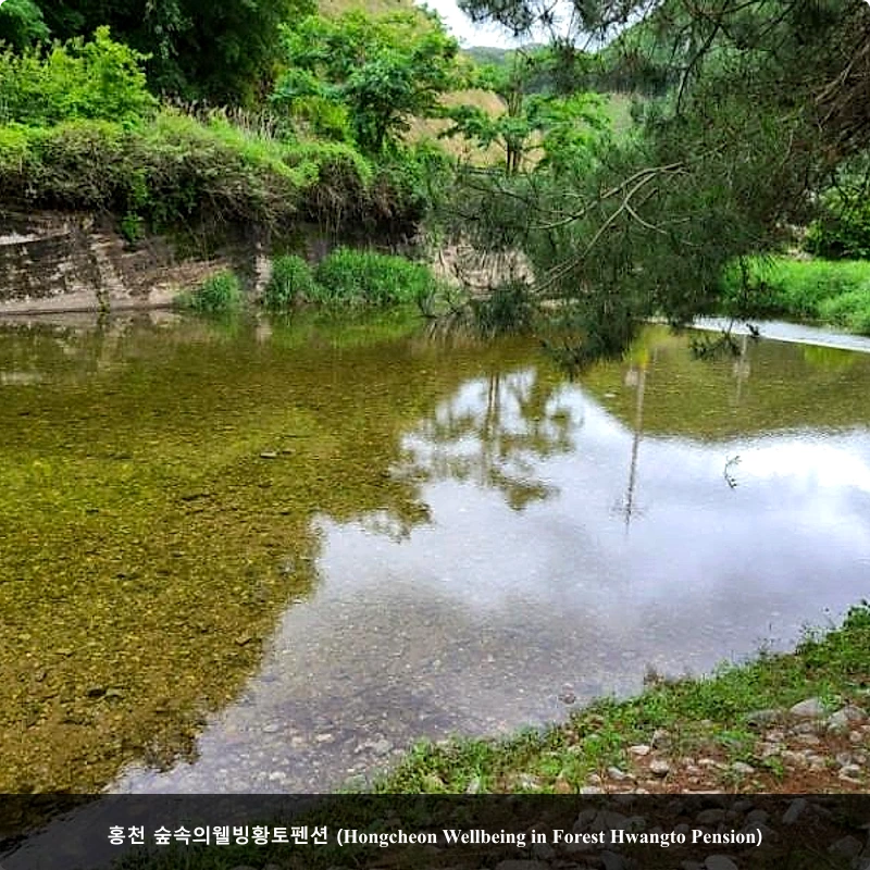 홍천 숲속의웰빙황토펜션 (Hongcheon Wellbeing in Forest Hwangto Pension)_2