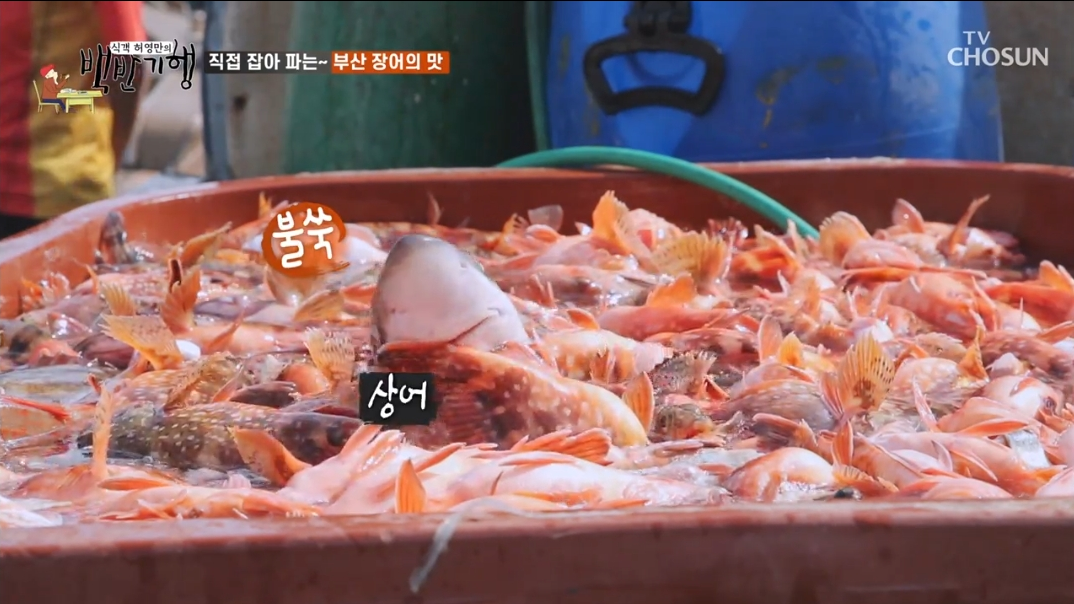 부산-백반기행-장어