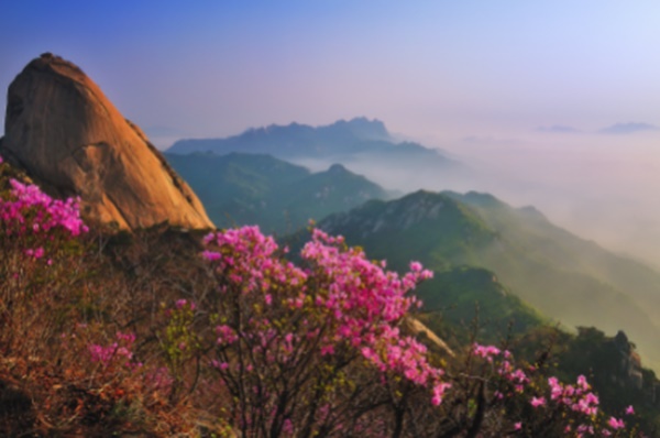 충남 가볼만한 곳 베스트10